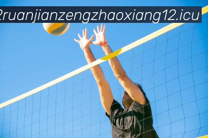 奖项图1